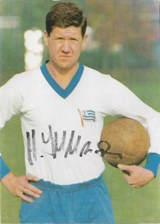 1966