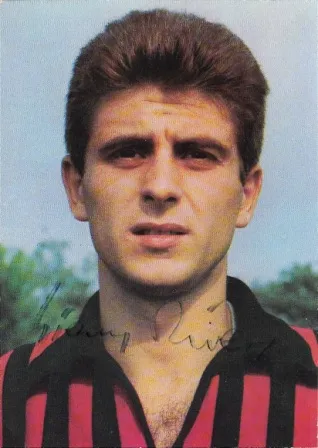 1966